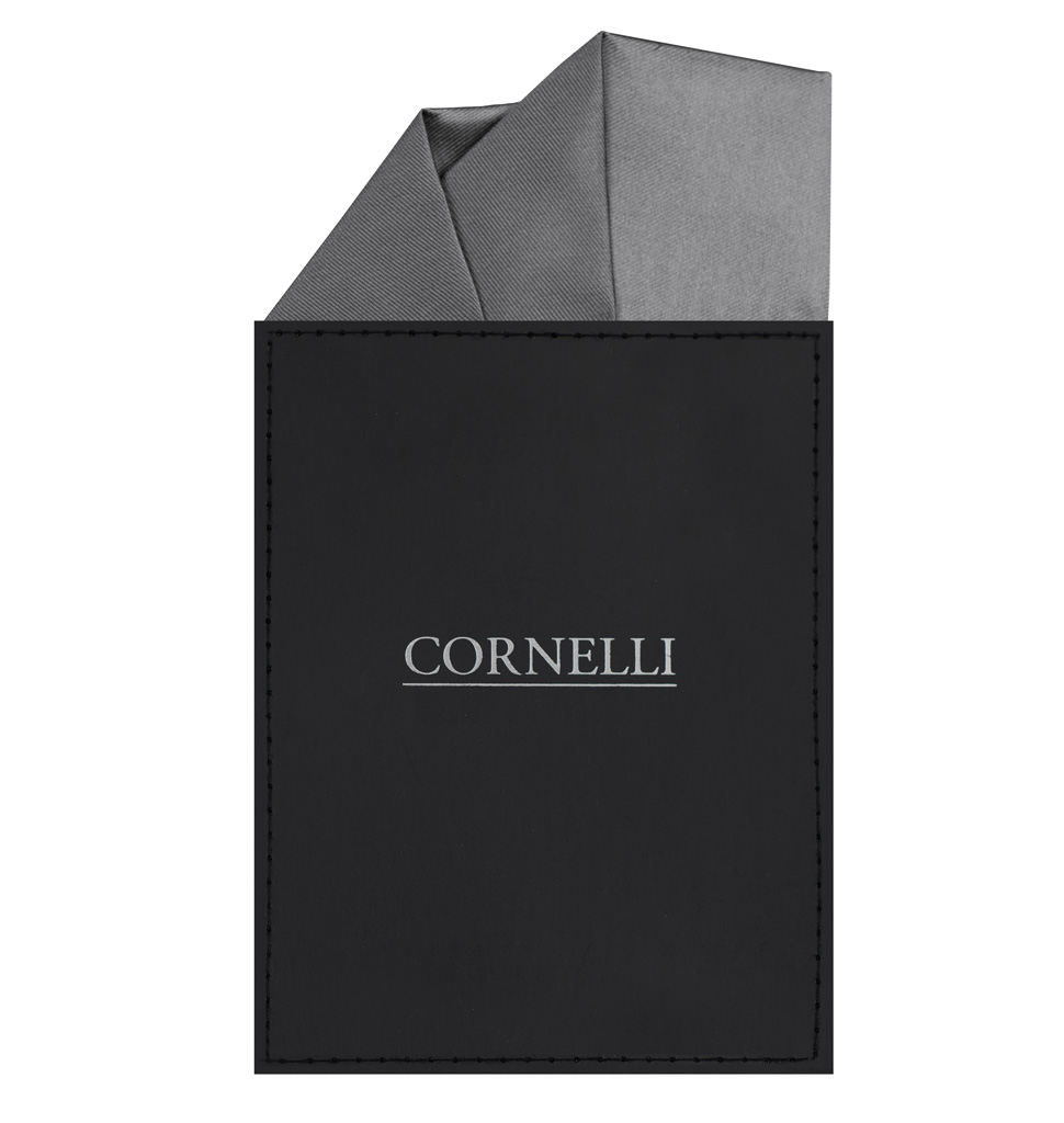 Solid Pocket Card Double Layered Silver Apc12L
