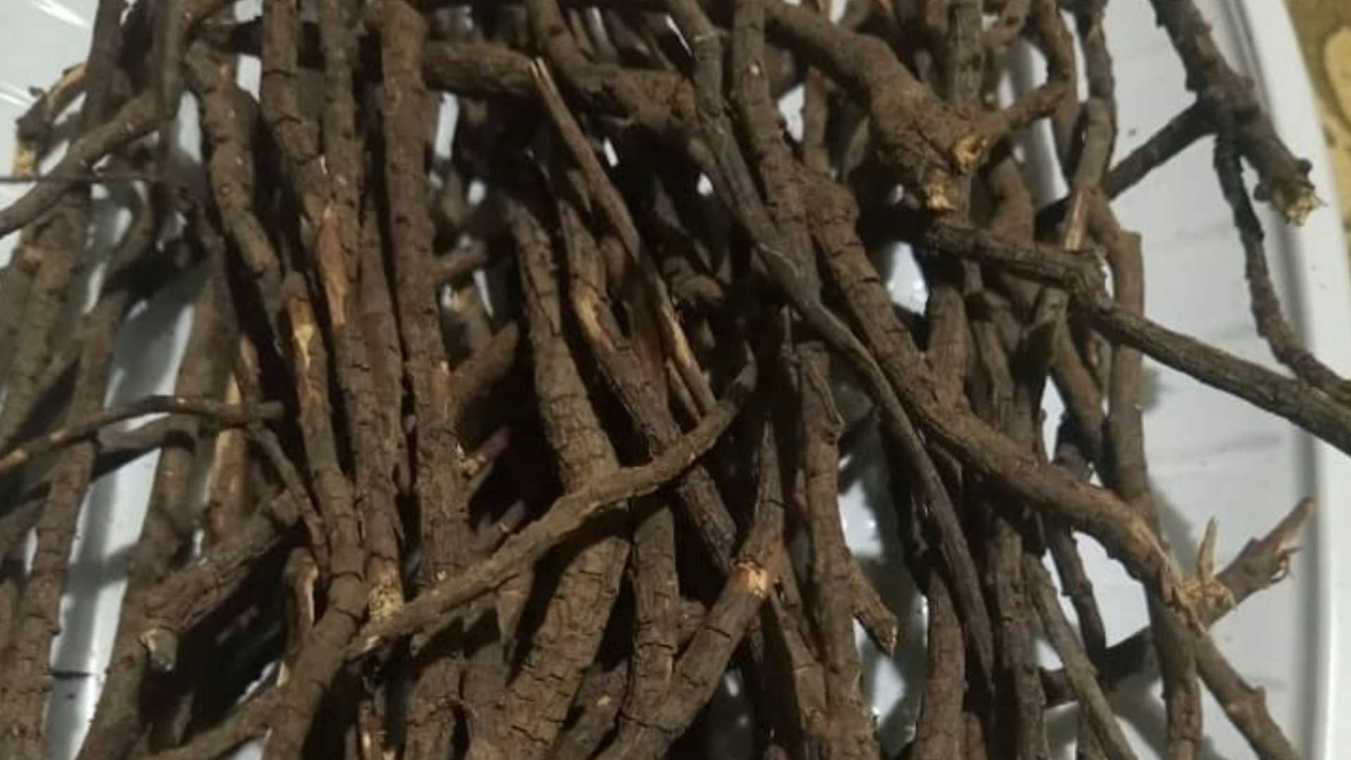 Harvested Fadogia Agrestis Roots 