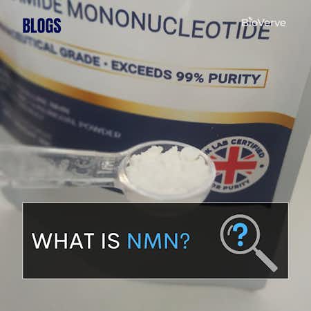 Blog on what is NMN Nicotinamide mononucleotide
