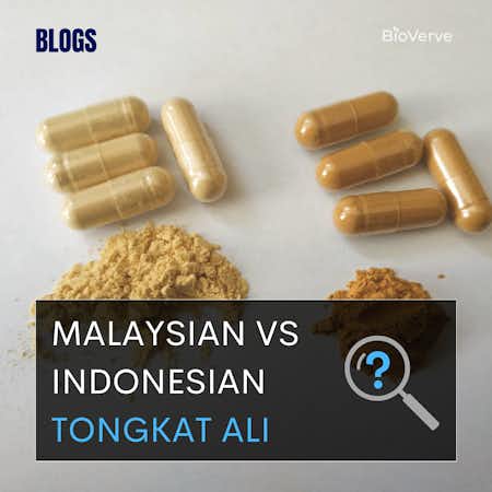 Comparing the difference between Malaysian and Indonesian Tongkat Ali
