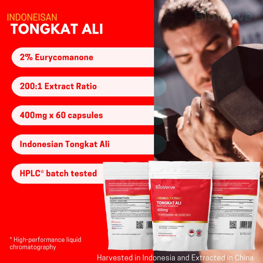 Indonesian Tongkat Ali 400mg Key Benefits Continued