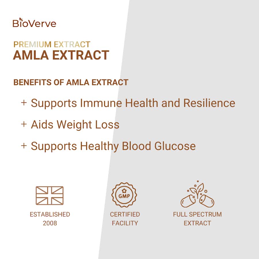 Amla Fruit Extract BioVerve benefits