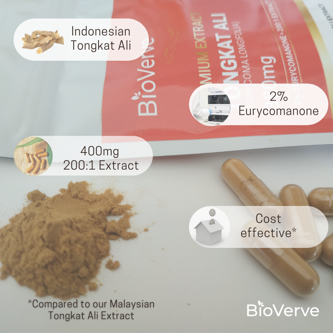 Tongkat Ali (Indonesian)