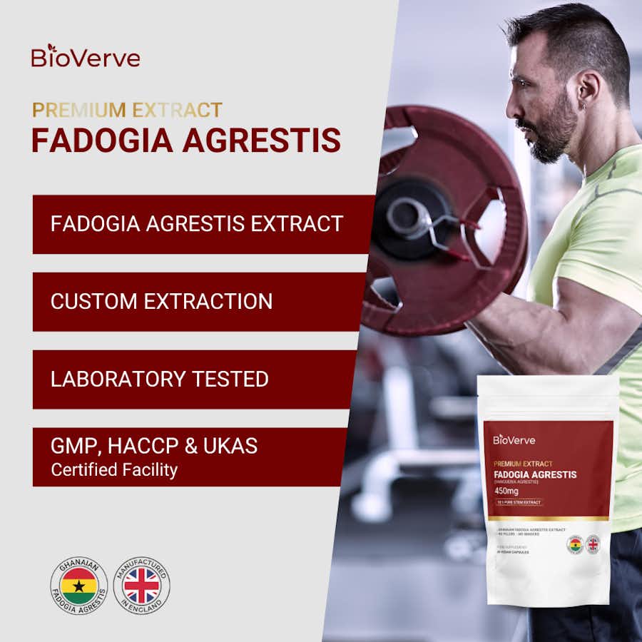 Fadogia Agrestis Extract 450mg Highlights