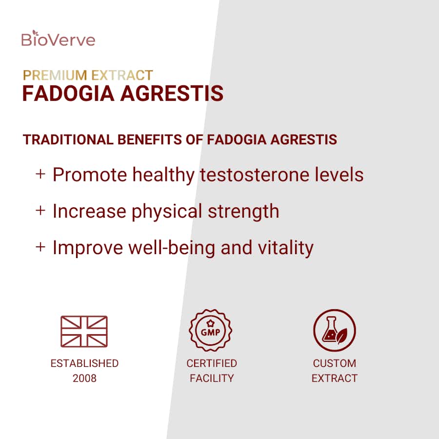 Fadogia Agrestis Extract 450mg benefits