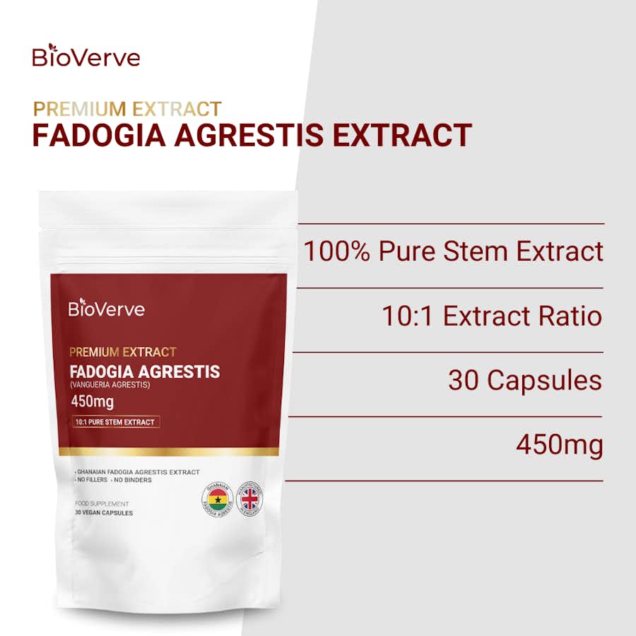 Fadogia Agrestis Extract 450mg Summary Specification