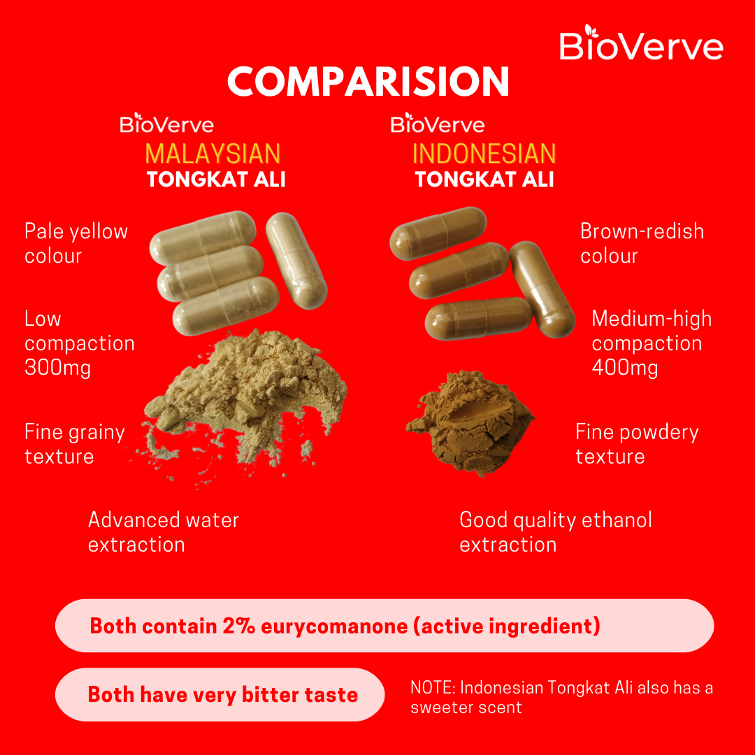 Tongkat Ali (Indonesian)