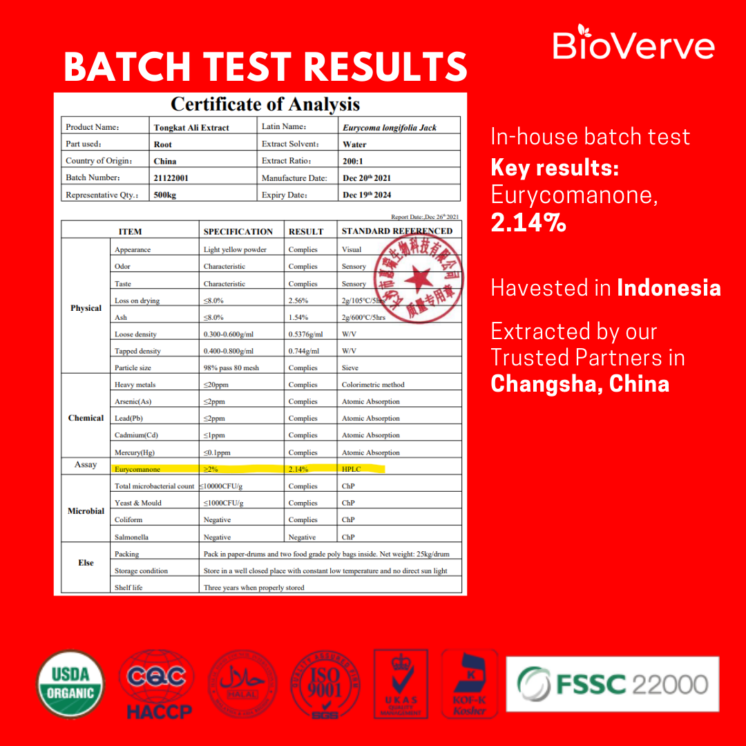 Tongkat Ali (Indonesian)
