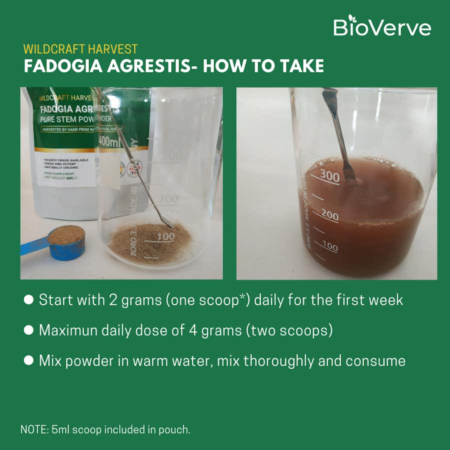 Fadogia Agrestis  How To Use