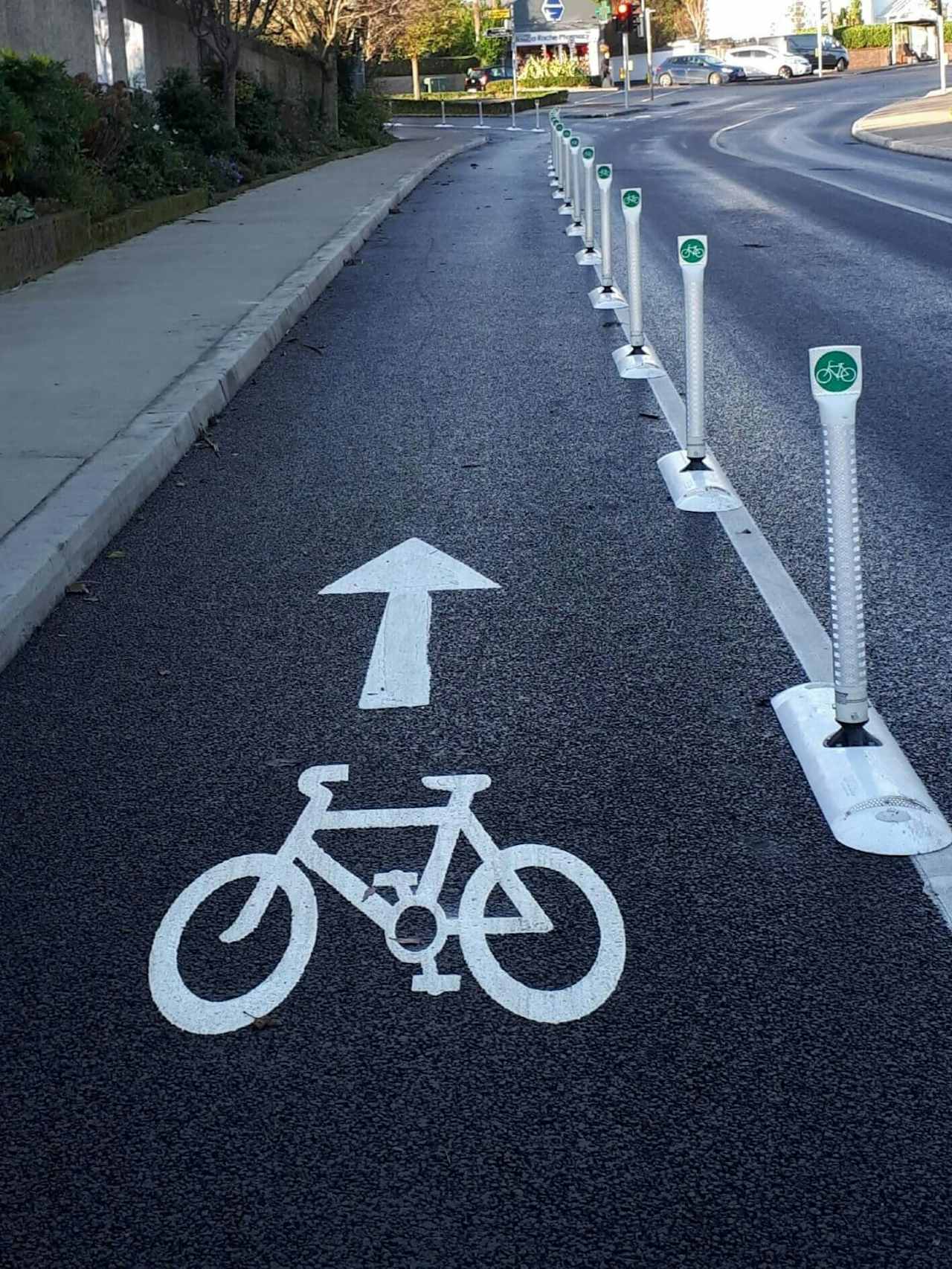 bike lane bollards