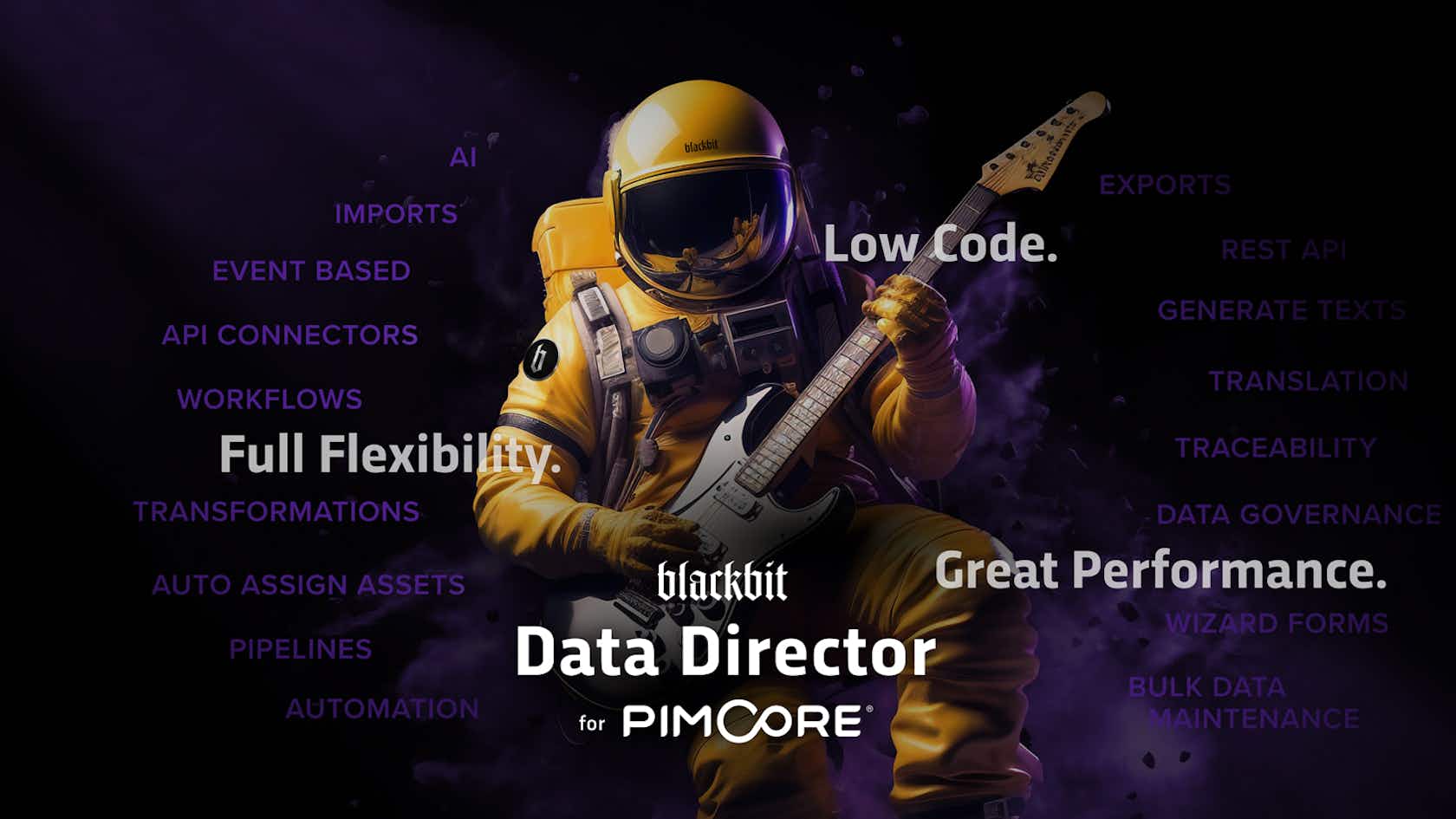 Blackbit Data Director Banner image