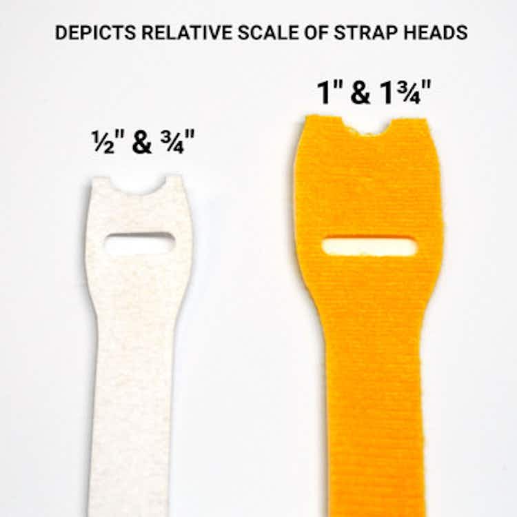Depiction of relative scale of strap head sizes