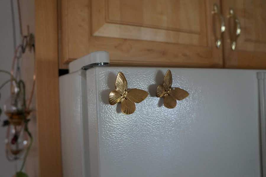 Brass Butterfly Magnets (set of 2)
