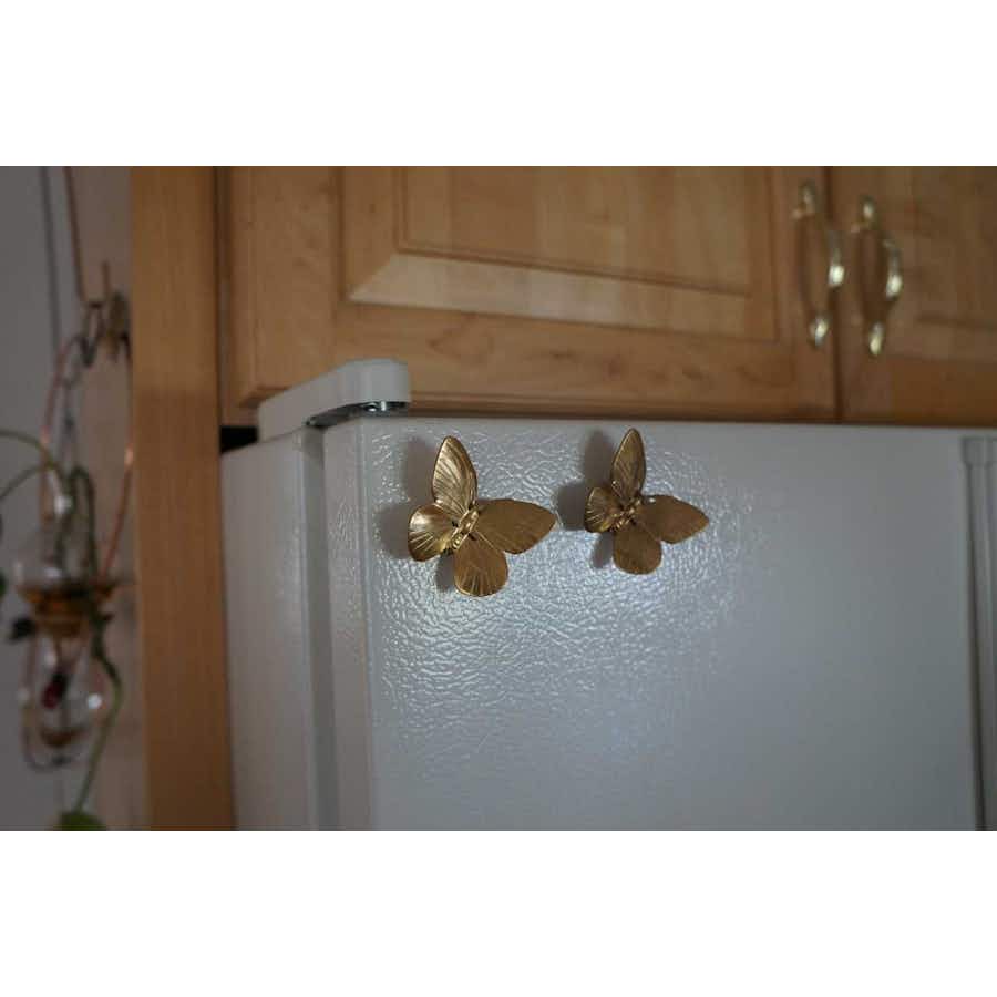 Brass Butterfly Magnets (set of 2)