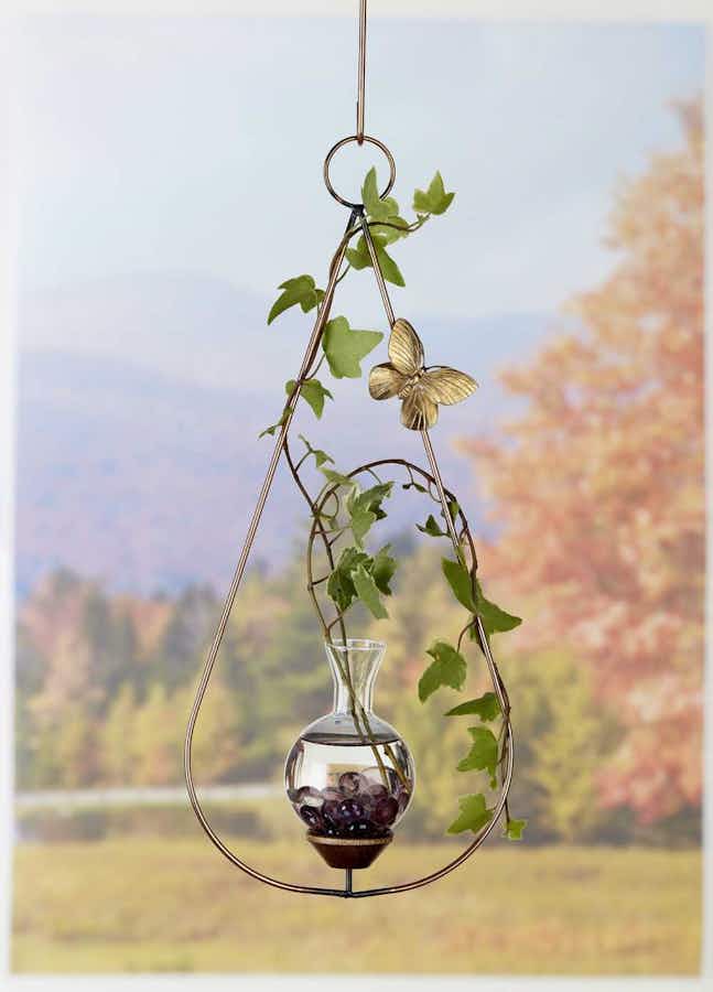 Teardrop Plant Propagation Rooter Vase with plants hanging in a window