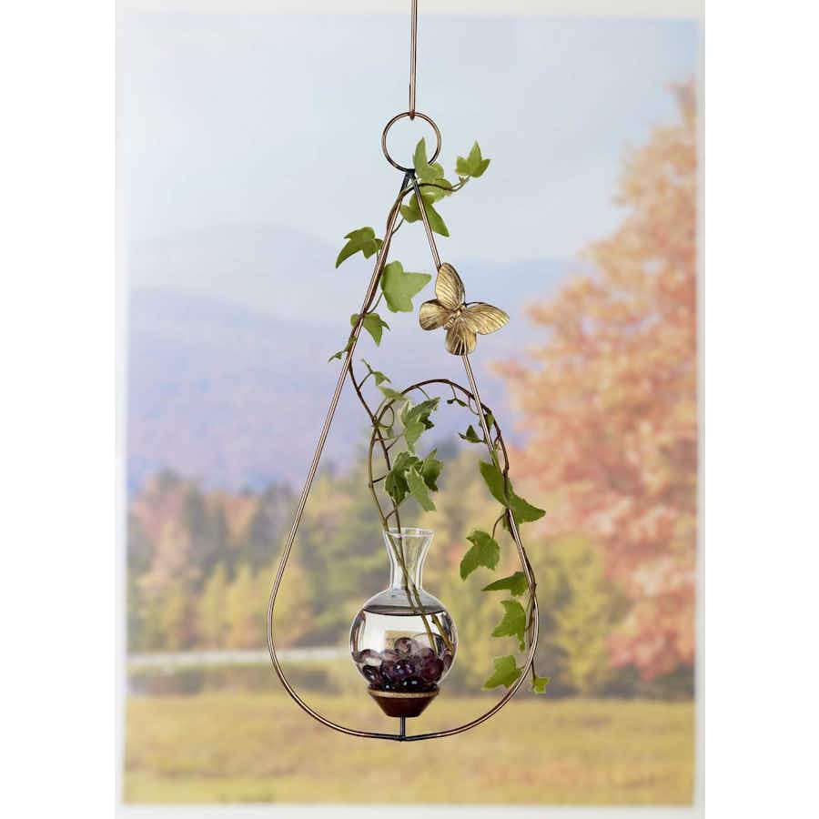 Teardrop Plant Propagation Rooter Vase with plants hanging in a window