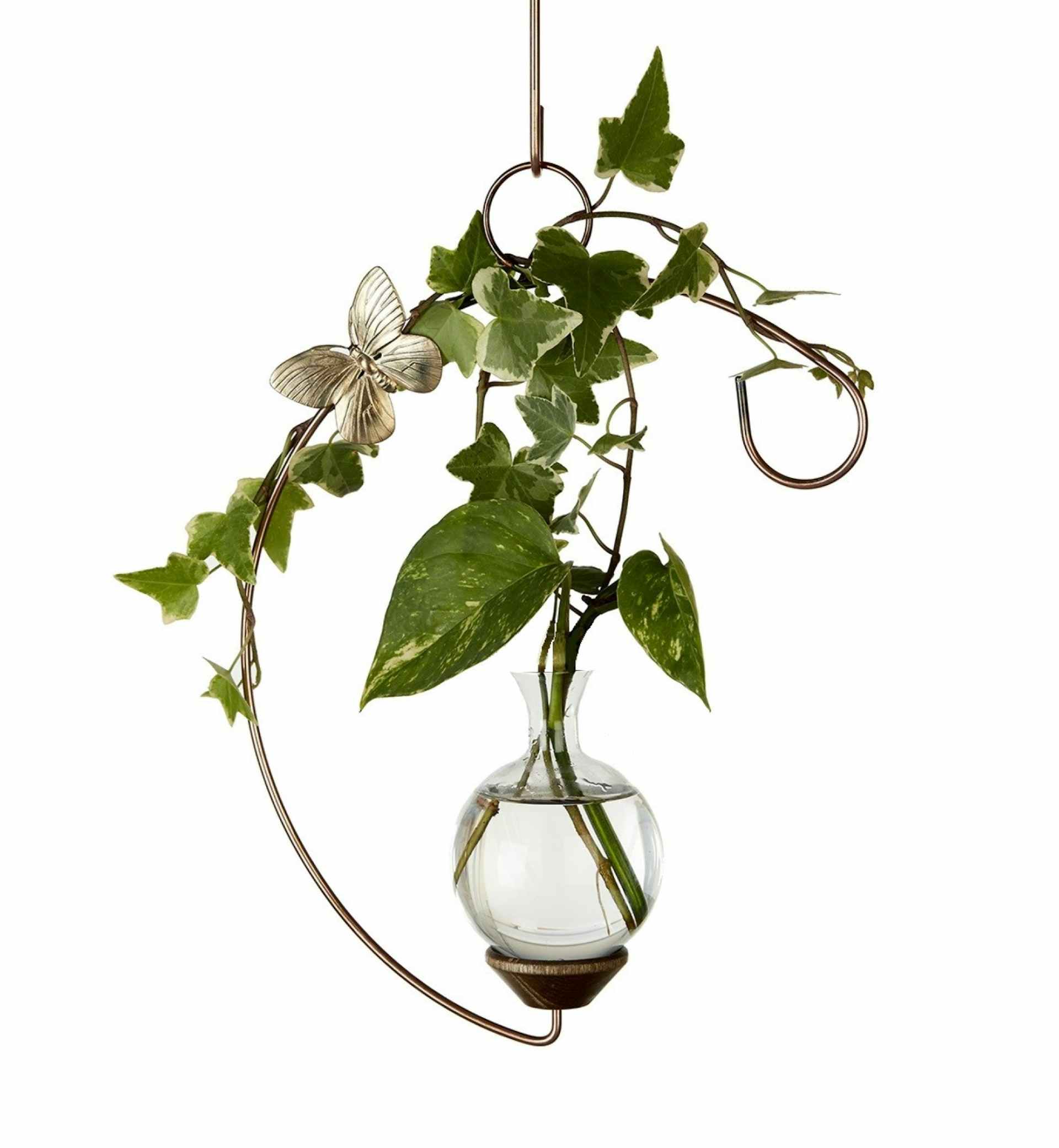 Brass Butterfly Classic Crescent Hanging Plant Propagation Vase