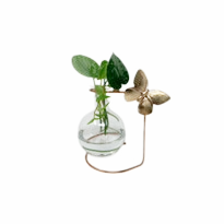 table stand plant propagation rooter vase with a plant and transparent background