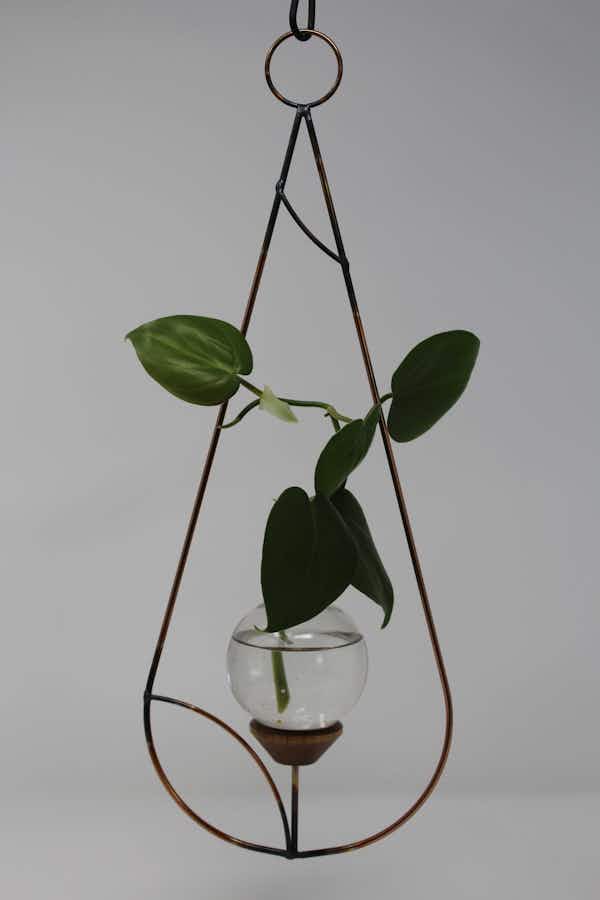 Minimalist Plant Propagation Rooter Vase