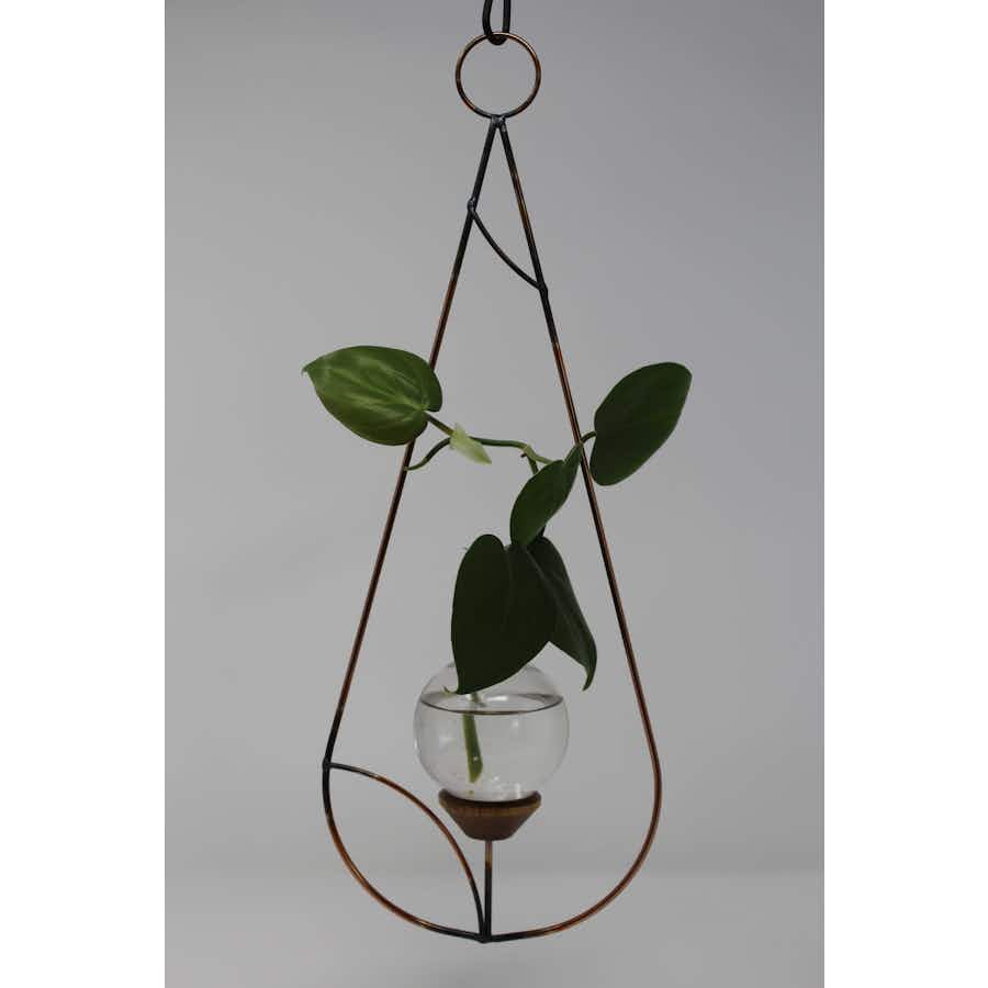 Minimalist Plant Propagation Rooter Vase