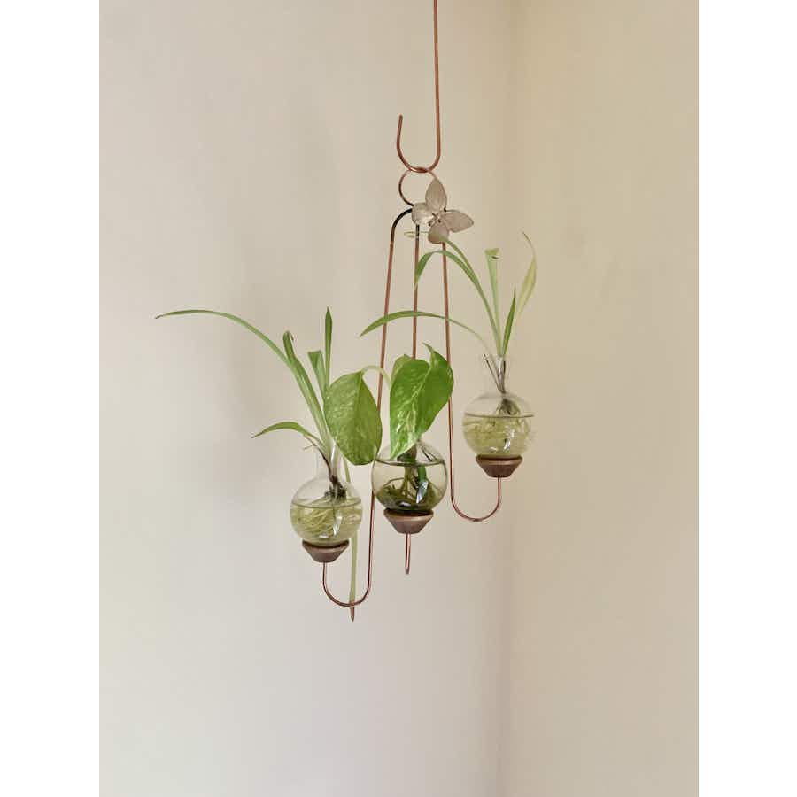 Triple Vase Plant Propagation Rooter with plants hanging in a corner
