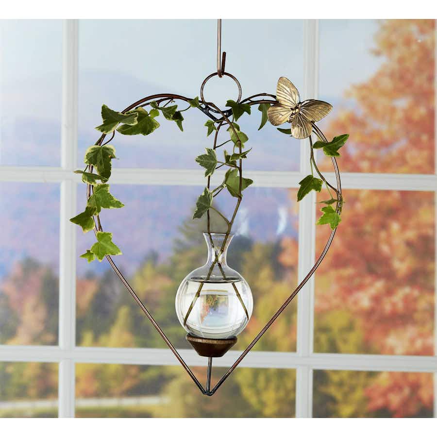Heart Plant Propagation Rooter Vase with plants in a window