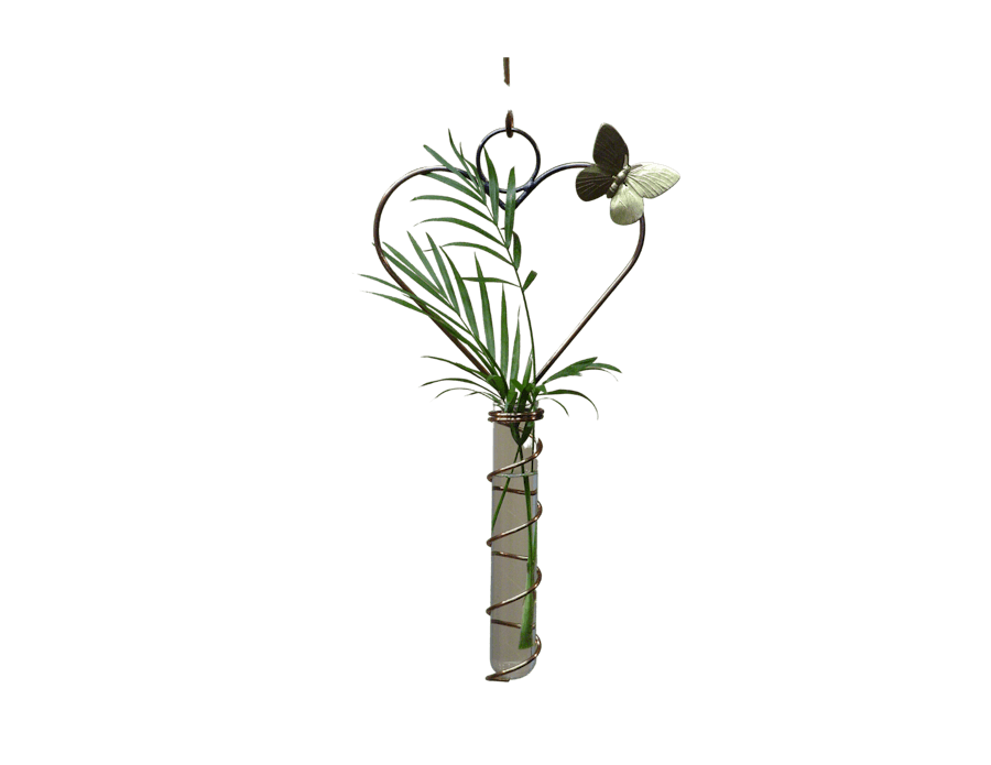 Heart Test Tube plant rooting Twister with plant cuttings