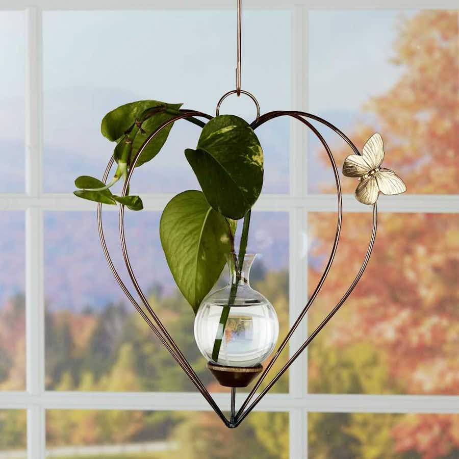 Heart Dimensional Plant Propagation Rooter Vase with pothos plant in window