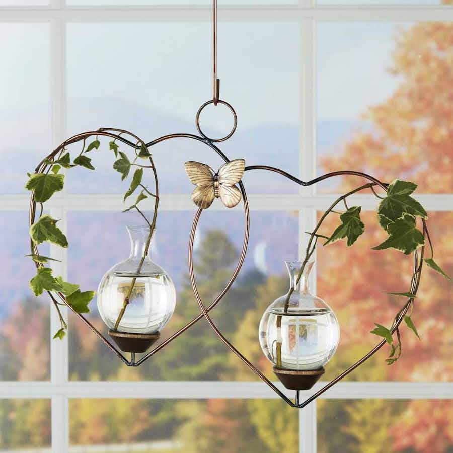 Double Heart Hanging Plant Propagation Rooter Vase in window with plant