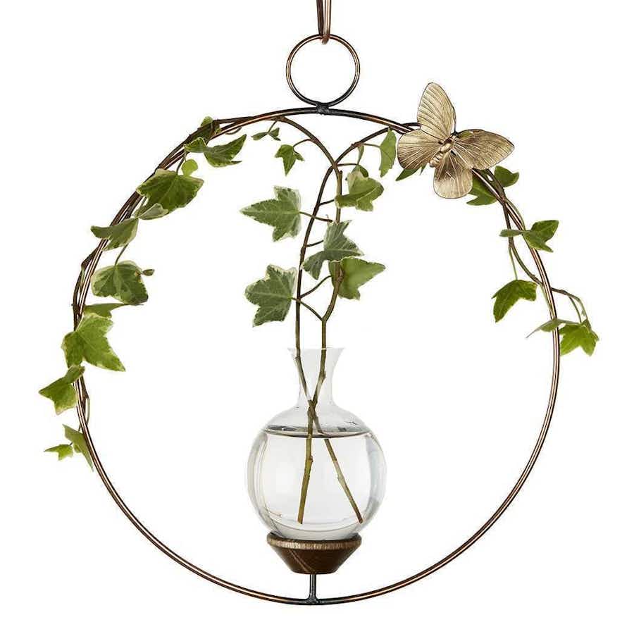 Round Plant Propagation Rooter Vase with ivy plant