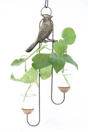 Double Vase Plant Propagation Rooter vases with a cardinal perched in between the vases