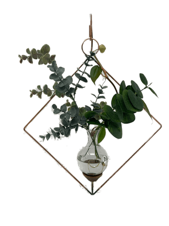 Square Plant propagation rooter vase with transparent background and ivy plant