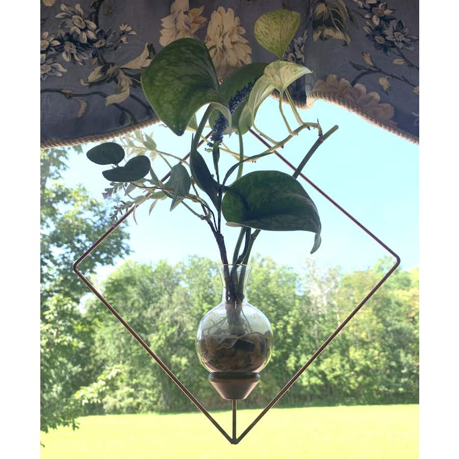 Square Plant propagation rooter vase with pothos plants in a window
