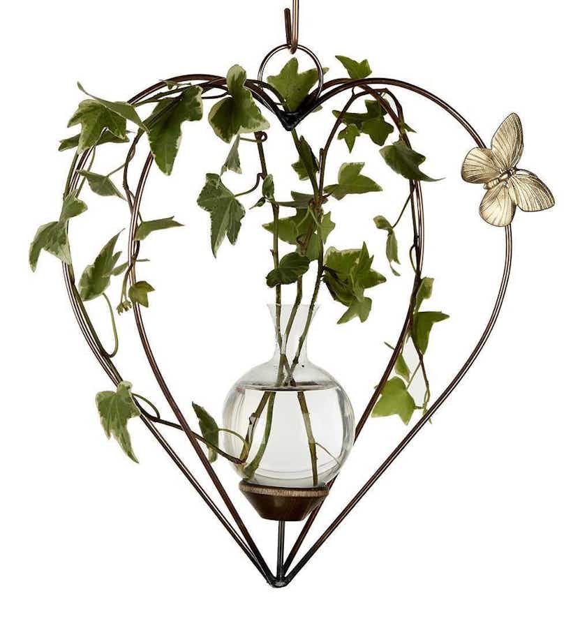 Heart Dimensional Plant Propagation Rooter Vase with ivy plants