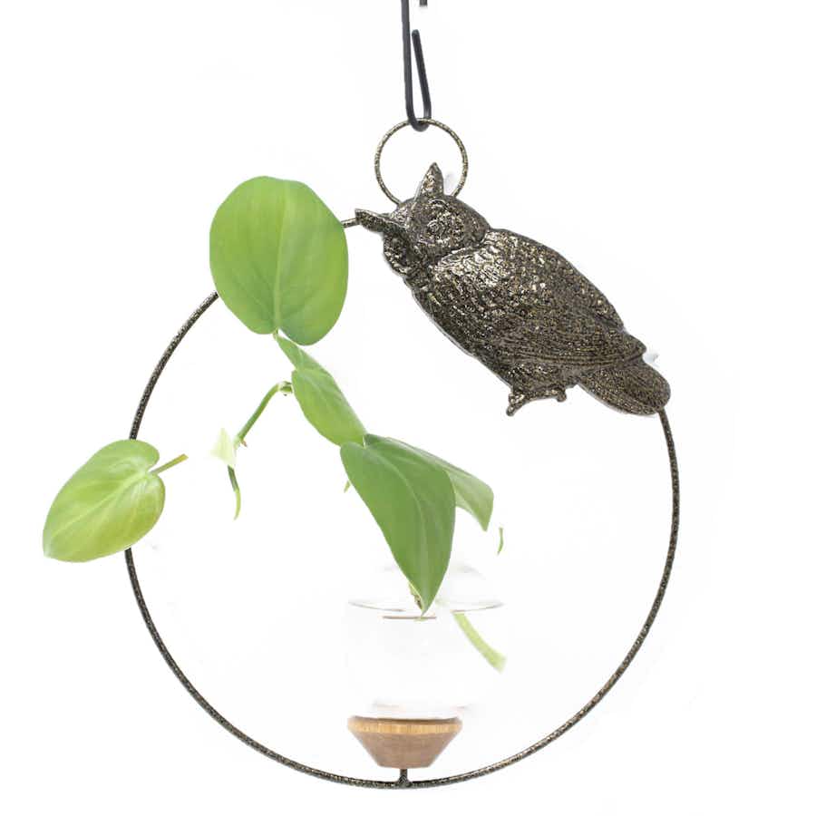Owl Propagation Rooter Vase with pothos plant