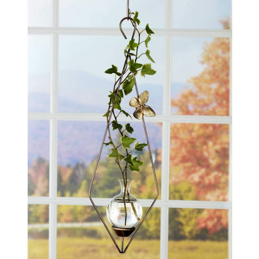 Diamond Plant Propagation Rooter Vase with ivy plant hanging in a window