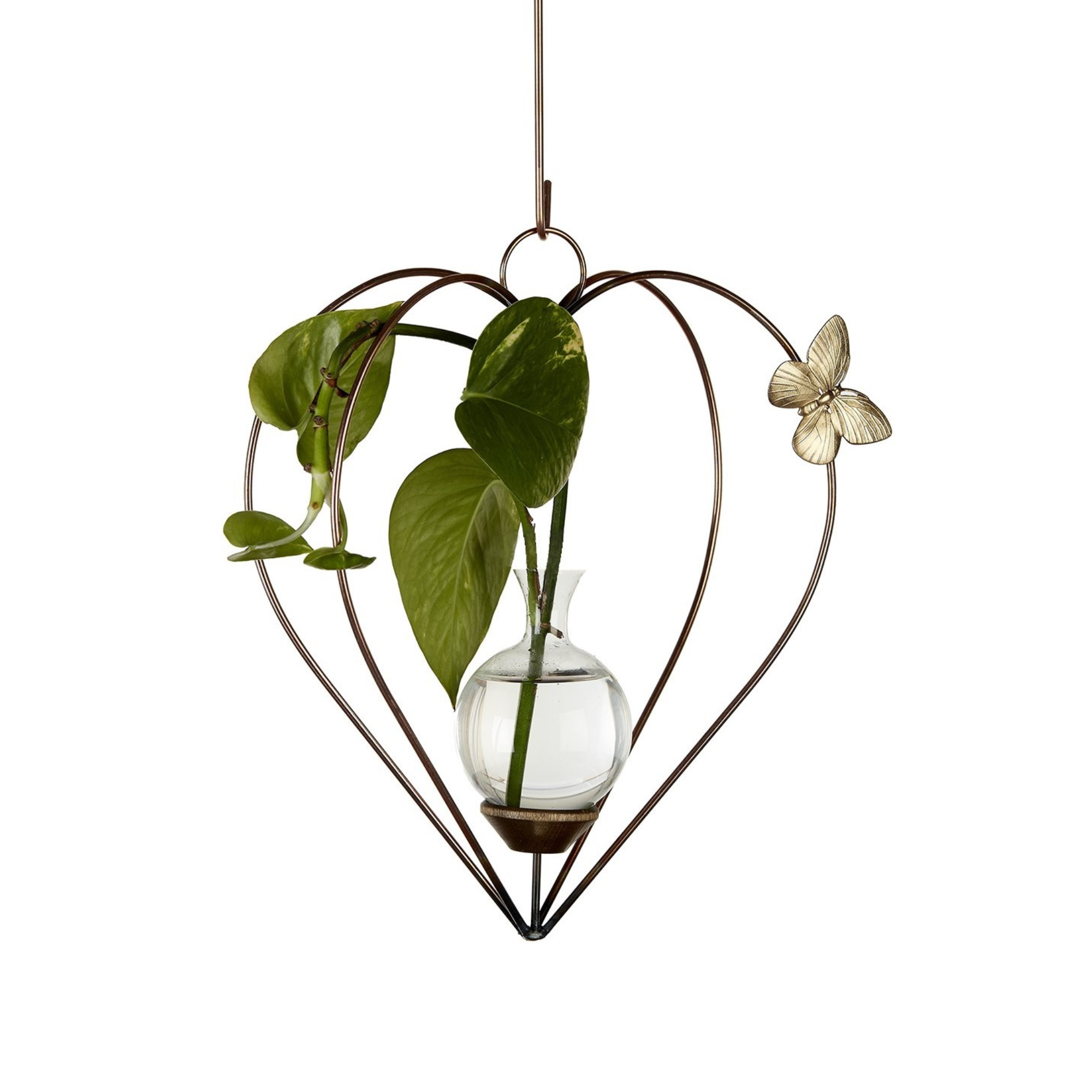 Dimensional heart hanging rooting vase with copper finish, Brass Butterfly accent, and handblown glass vase with pothos plant cuttings in water