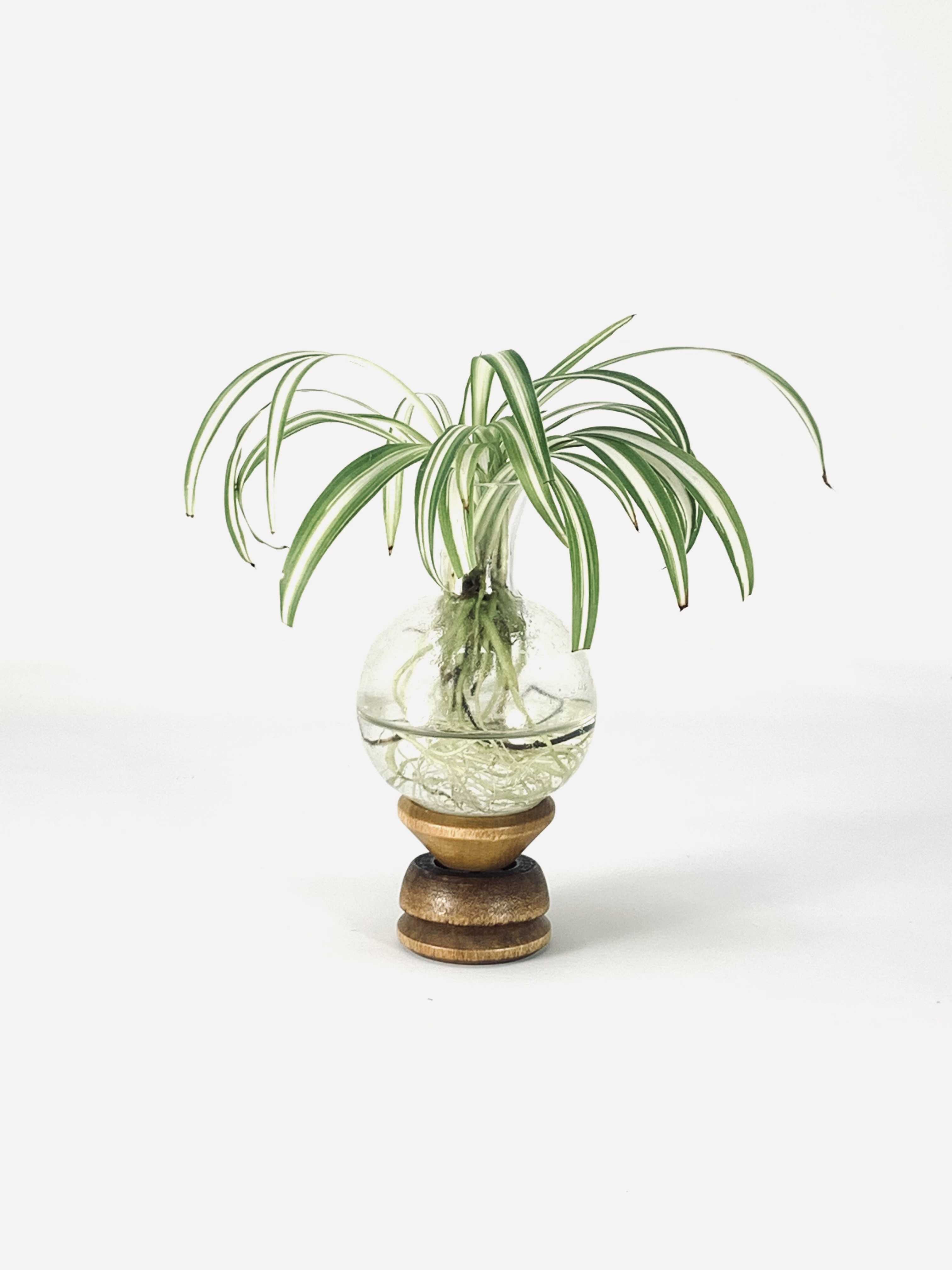 Hand Blown Glass Replacement Vase Unique Decor Piece