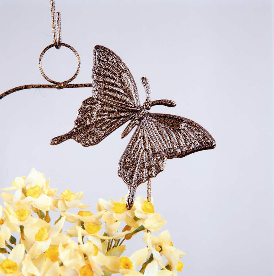 Butterfly on hanger with plant