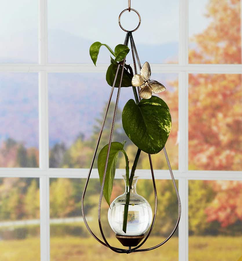 Teardrop Dimensional Plant Propagation Rooter Vase with pothos plant cutting in window