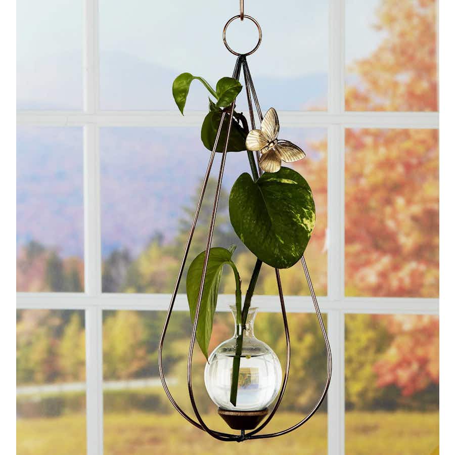 Teardrop Dimensional Plant Propagation Rooter Vase with pothos plant cutting in window