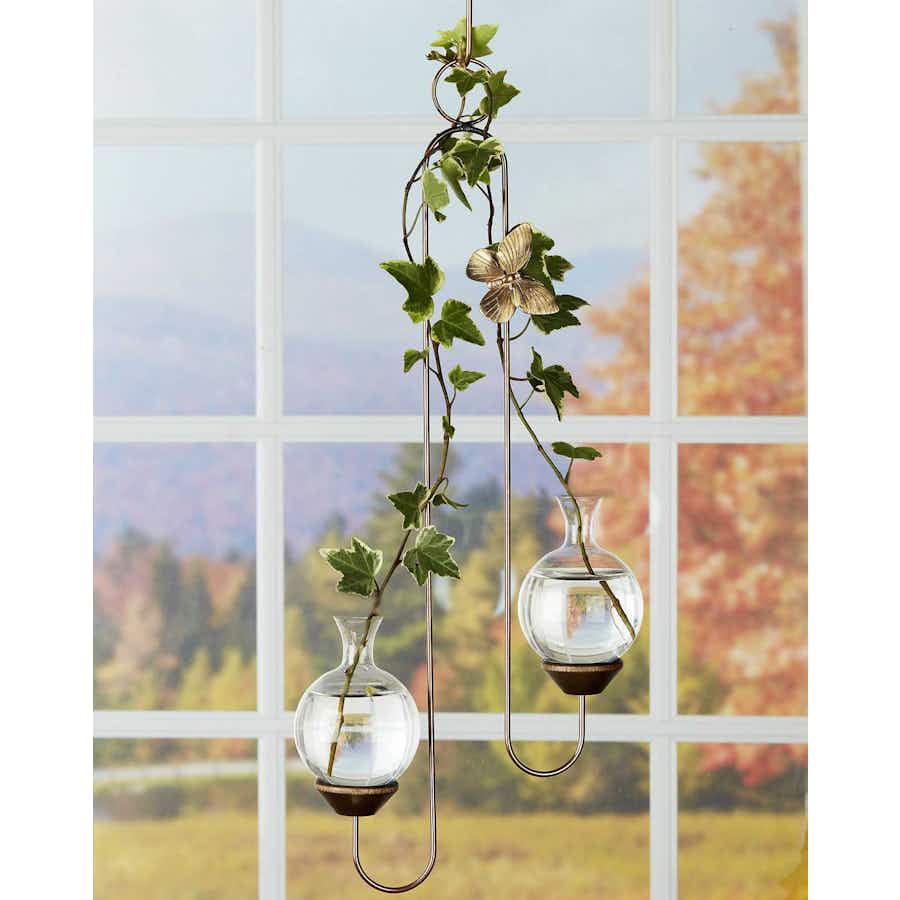 Double Vase Plant Propagation Rooter with ivy plants in window
