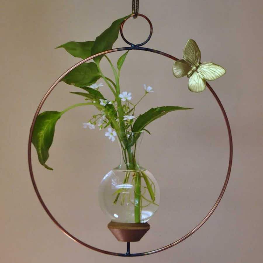Round Plant Propagation Rooter Vase with spider plant