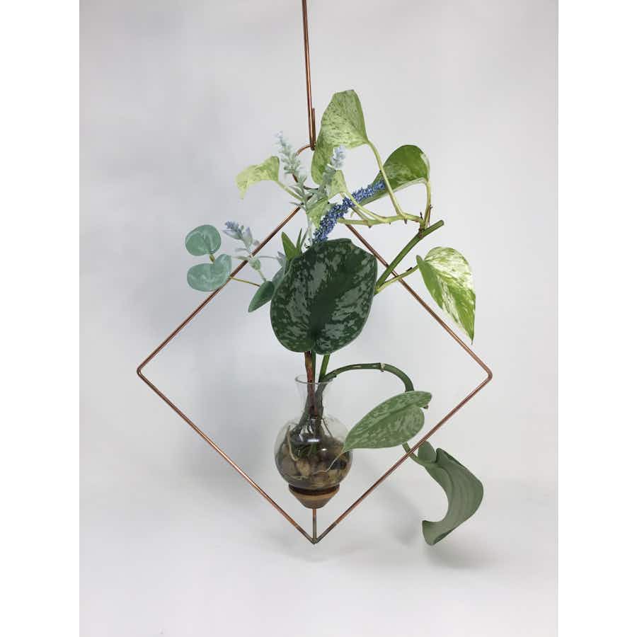 Square Plant propagation rooter vase with white background and ivy plant