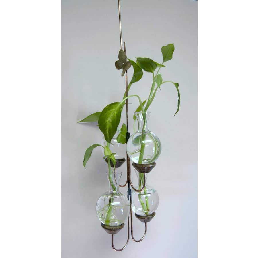 Four Vase Plant Propagation Rooter with plants