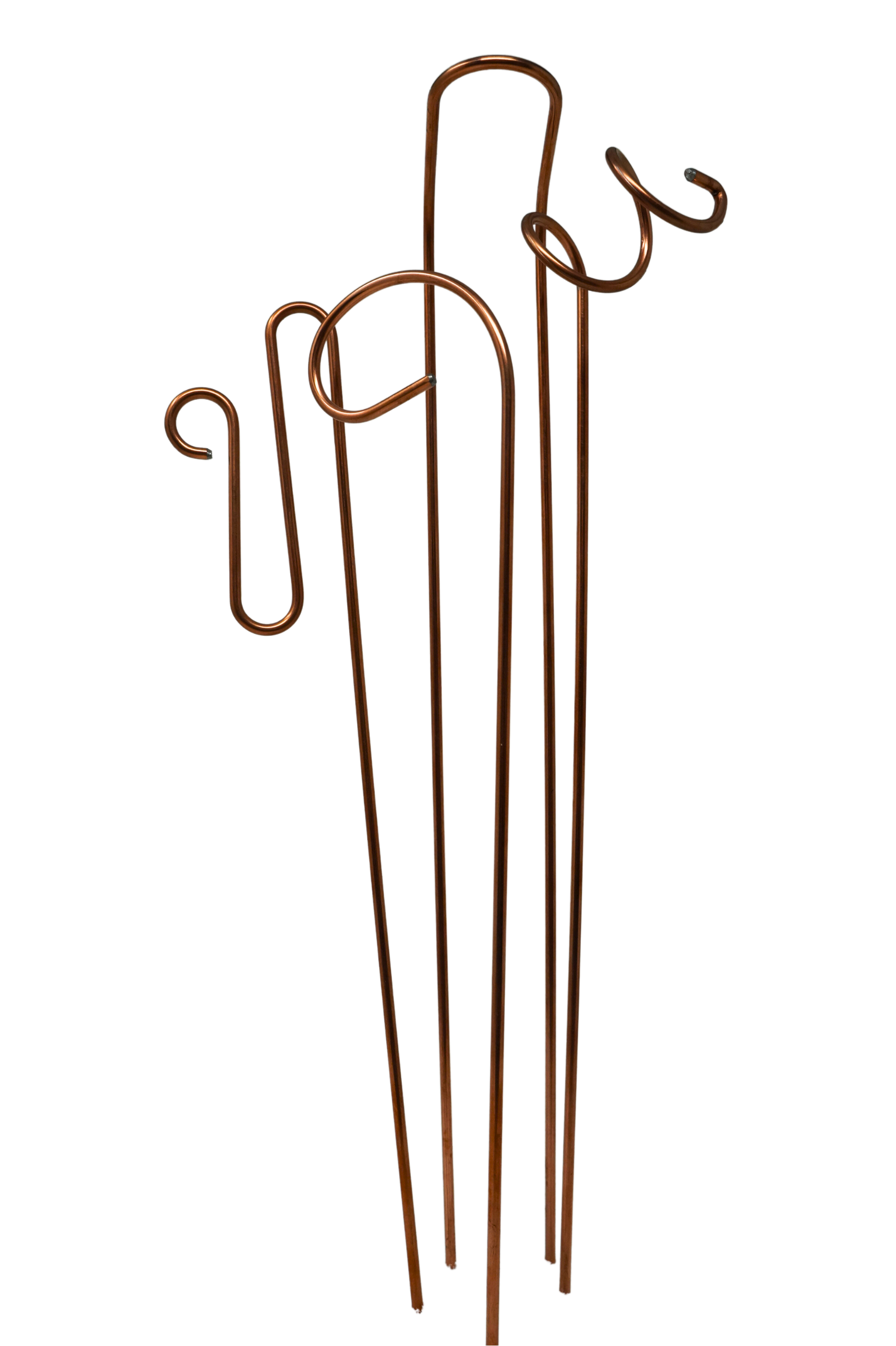 Plant Sticks (set of 4)