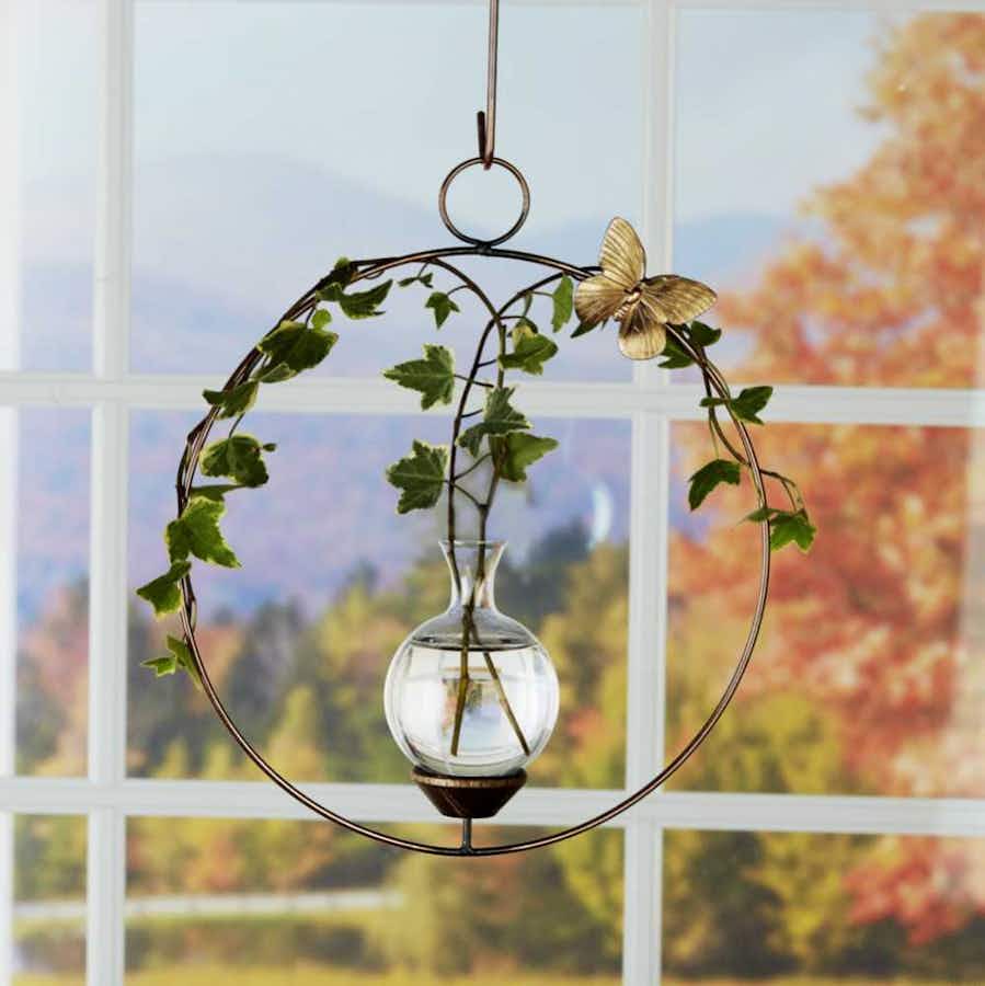 Round Plant Propagation Rooter Vase with a plant in a window