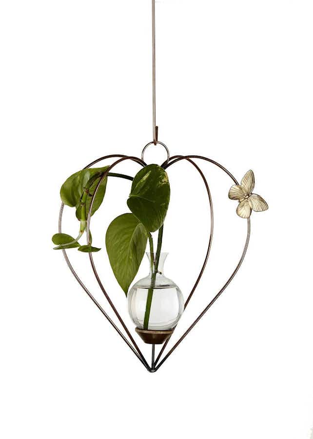 Heart Dimensional Plant Propagation Rooter Vase with pothos plant cuttings in water