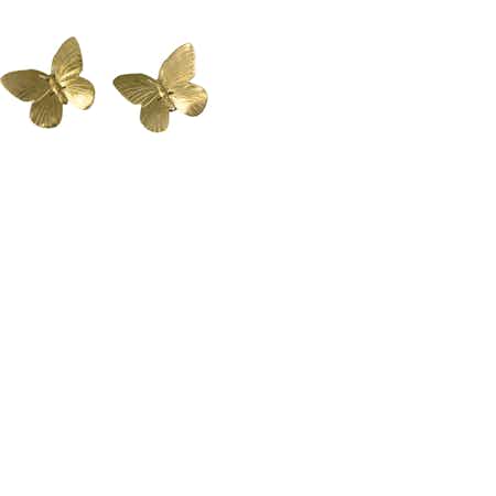 two brass butterfly magnets