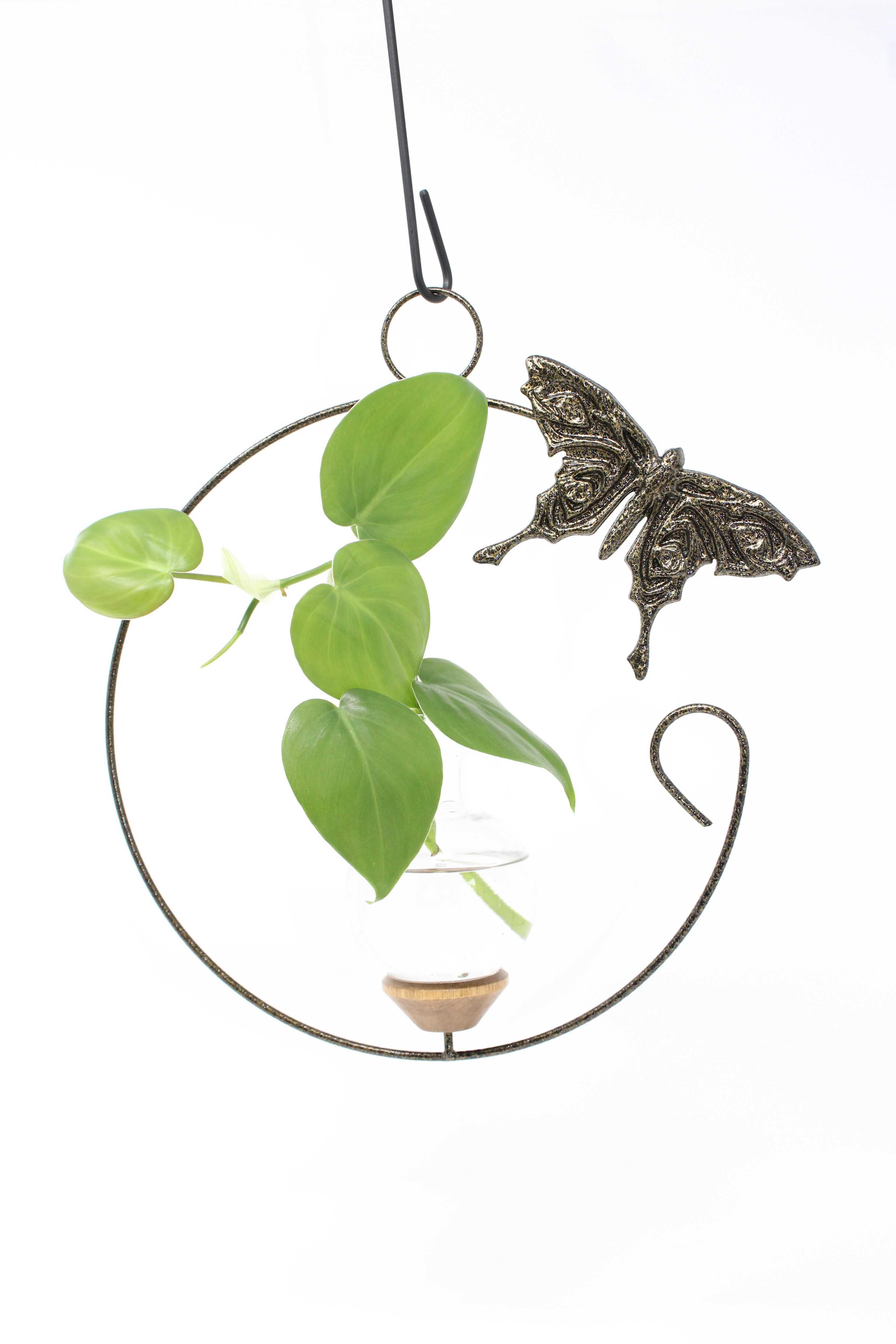 Butterfly hanging rooting vase with gold vein finish and handblown glass vase with pothos in water